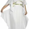 Roman Goddess Adult Plus Costume