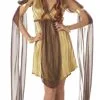 Grecian Goddess Adult Costume