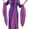Medieval Princess Adult Costume