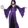 Renaissance Sorceress Plus Size Adult Costume -Cheap Halloween Costumes Store 515 768 FW1184