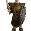Clash Of The Titans Perseus Child Costume -Cheap Halloween Costumes Store 70463