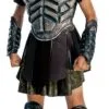 Clash Of The Titans Deluxe Perseus Child Costume -Cheap Halloween Costumes Store 70464