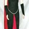Blood Raven Adult Costume -Cheap Halloween Costumes Store FW5022