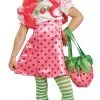 Child Strawberry Shortcake Costume