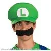Deluxe Luigi Hat -Cheap Halloween Costumes Store deluxe luigi hat