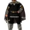 Vicious Viking Elite Adult Costume