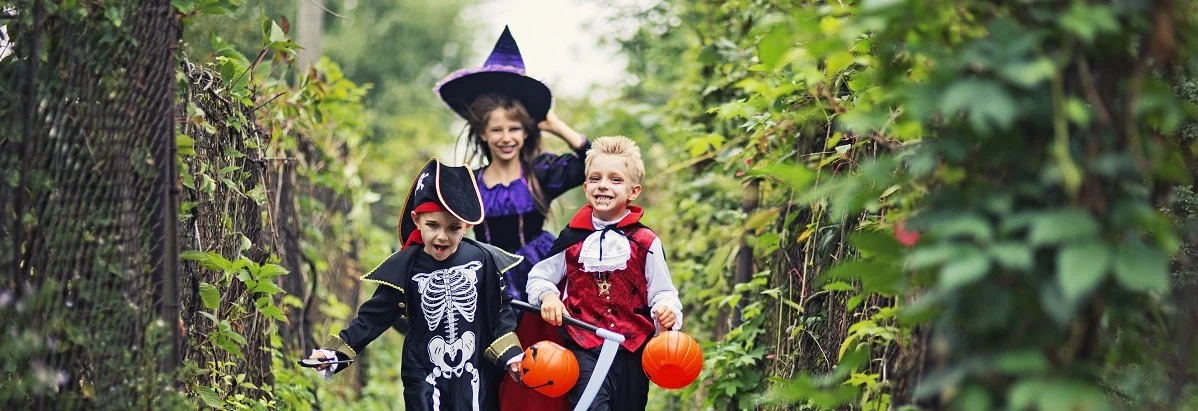 Cheap Costumes Store -Cheap Halloween Costumes Store 万圣 27